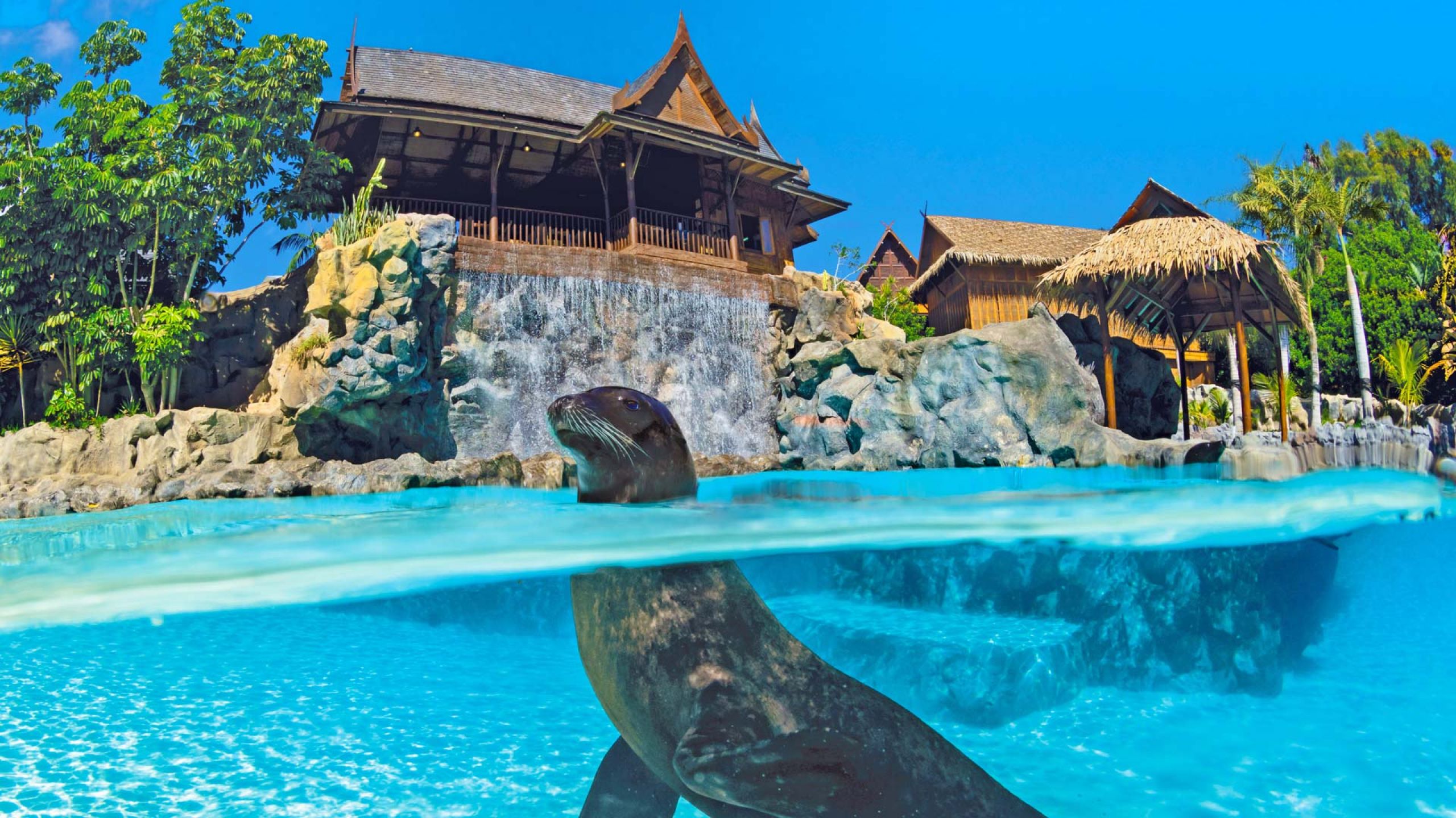 Sea Lion Island